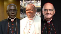 Cardinal Robert Sarah of Guinea, Cardinal Fridolin Ambongo Besungu of the Democratic Republic of Congo, and Cardinal Stephen Brislin of South Africa