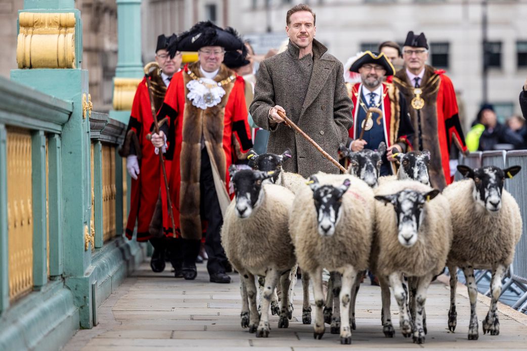 Hollywood actor Damian Lewis herds sheep across Southwark Bridge in October 2024