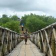 A Rohingya worker walks across a bamboo bridge in Kutupalong refugee camp in Ukhia, Bangladesh