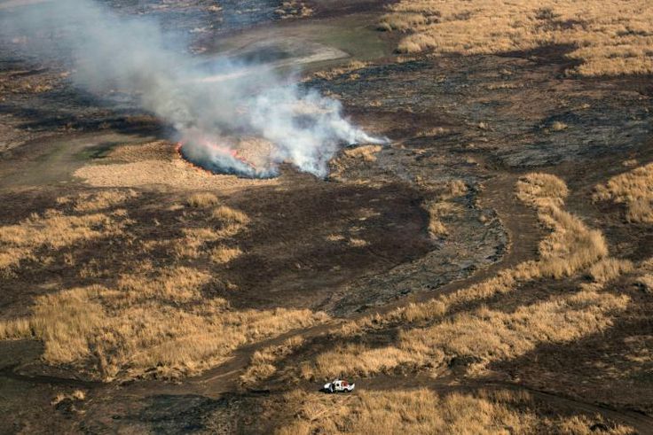 Parched wetland in the Parana Delta, an area of rich biodiversity that is under threat from thousands of fires