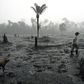 Brazilian farmer Helio Lombardo Do Santos walks through a burned area of the Amazon rainforest near Porto Velho, Rondonia state on August 26, 2019