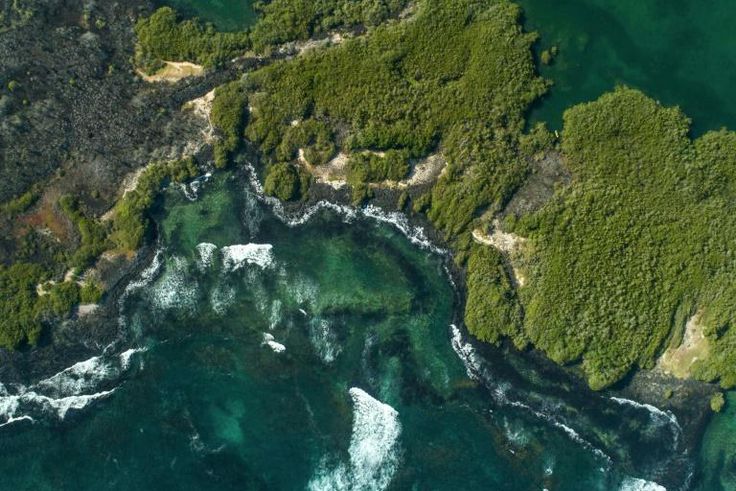 Scientists have probed deep-sea ecosystems in the Galapagos, going to depths of up to 3,400 meters using state-of-the-art Remote Operated Vehicles