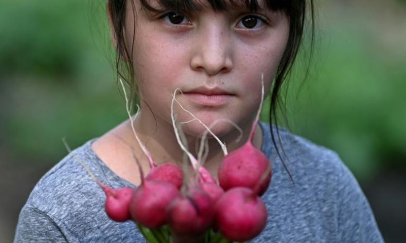 A girl holds a bundle of radishes in the community vegetable garden in El Chaparral