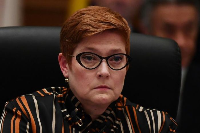 Foreign Minister Marise Payne said Australia was told on August 14 that journalist Cheng Lei was being held by Beijing authorities