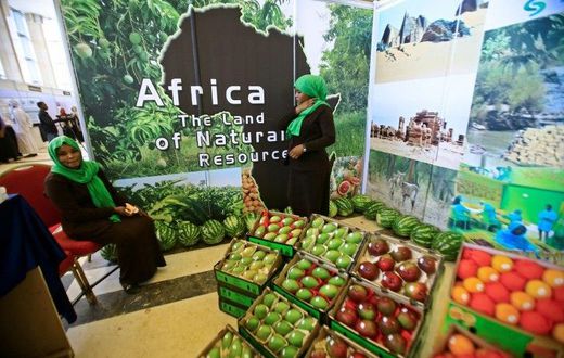 African produce on display at the UN's Food and Agriculture Organization regional conference in Khartoum