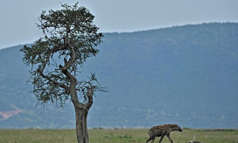 Maasai Mara's entire reserve model is under threat