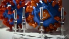 Chinese manufacturers have been bullish about development, with companies Sinovac Biotech and Sinopharm even putting their vaccine candidates on display at a trade fair in Beijing this month