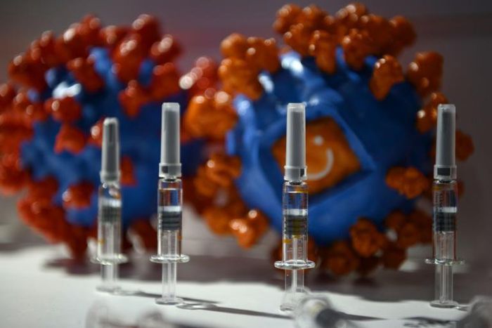 Chinese manufacturers have been bullish about development, with companies Sinovac Biotech and Sinopharm even putting their vaccine candidates on display at a trade fair in Beijing this month