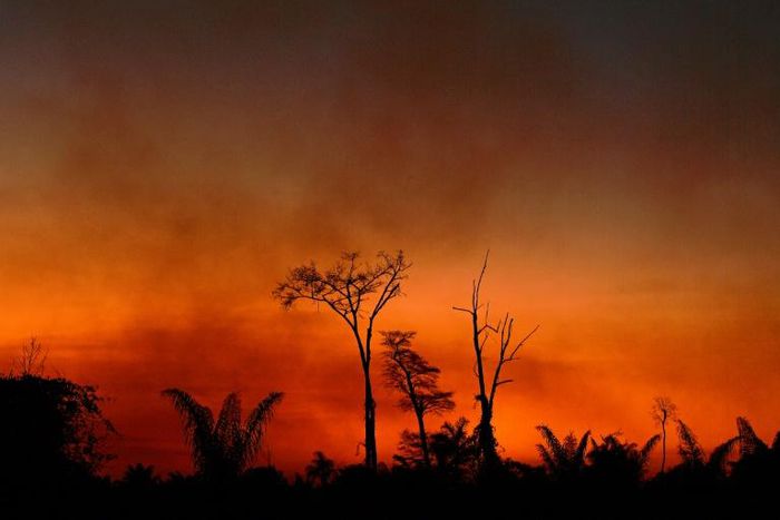 Smoke rises from a burnt area of land in the Xingu Indigenous Park, Mato Grosso state, Brazil, in the Amazon basin, on August 6, 2020