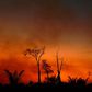 Smoke rises from a burnt area of land in the Xingu Indigenous Park, Mato Grosso state, Brazil, in the Amazon basin, on August 6, 2020