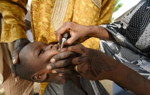 The last remnants of poliovirus in Africa were wiped out thanks to a massive vaccination effort in northern Nigeria, where Boko Haram jihadists had opposed immunisation