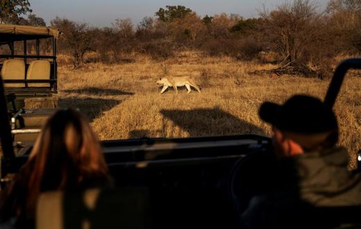 Tourists fresh from a strict coronavirus lockdown in south Africa take advantage of an easing of restrictions to visit a local safari park in need of their business after months without any income