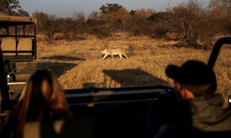 Tourists fresh from a strict coronavirus lockdown in south Africa take advantage of an easing of restrictions to visit a local safari park in need of their business after months without any income