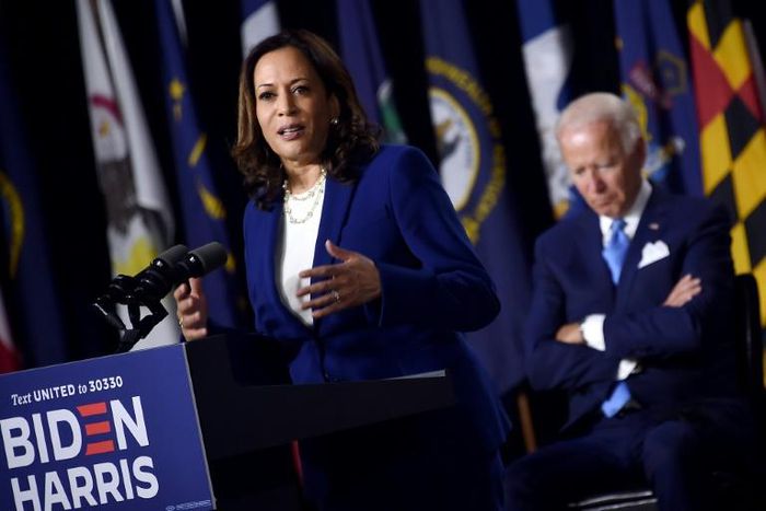 Democratic presidential hopeful Joe Biden listens as his VP pick Kamala Harris rolled out their campaign in Delaware, saying everything is 'on the line'