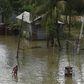 Torrential monsoon rains have unleashed havoc in India, Bangladesh and Nepal