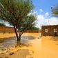 Sudanese children stand across a flooded street after torrential rain led to landslides and flash floods in the town of Umm Dawan Ban, southeast of the capital Khartoum