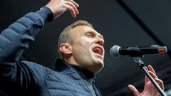 Russian opposition leader Alexei Navalny fell ill on a flight in Siberia last month