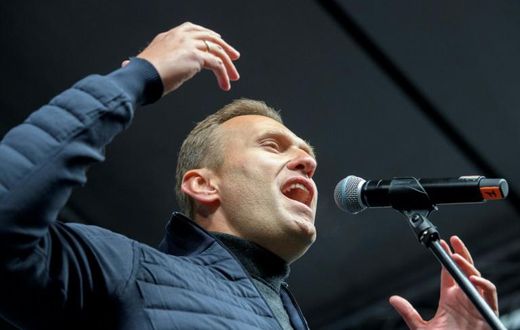Russian opposition leader Alexei Navalny fell ill on a flight in Siberia last month