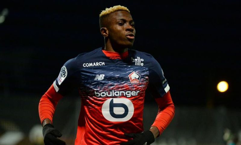 Osimhen scored 18 goals in all competitions for Lille