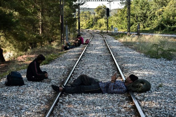 Migrants wait for a train to take them from Idomeni to a new life