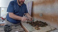 To obtain one gramme of pure purple dye, Nouira said he had to shell 100 kilogrammes of murex