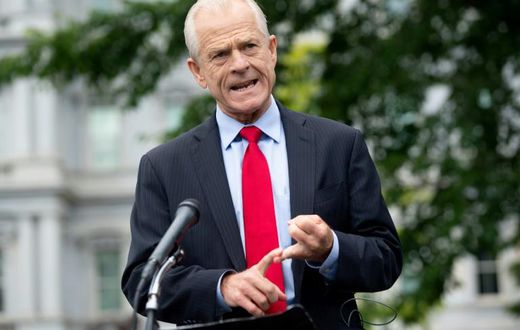 White House trade advisor Peter Navarro, pictured in June 2020, alleges the apps funnel data to China