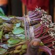 Miraa export banned