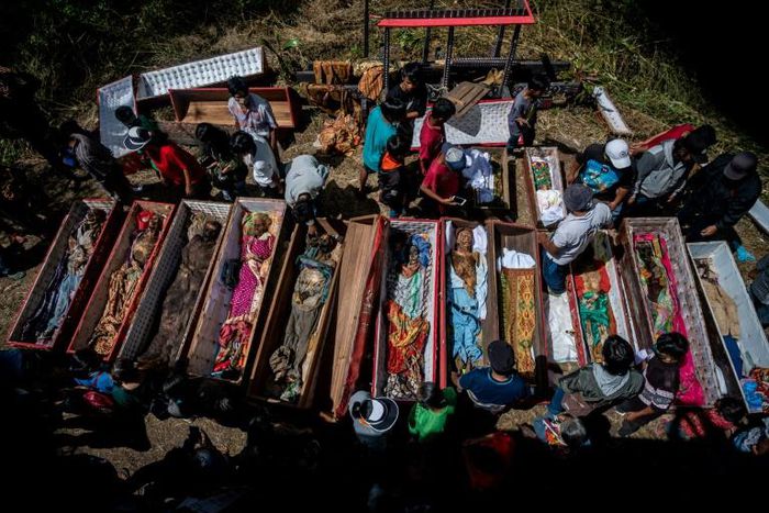 Torajan families unearth deceased relatives and clean their graves in a ritual known as "Manene"