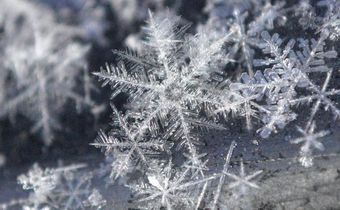 Watch Dr. P Extract A Snowflake Of A Pilar Cyst
