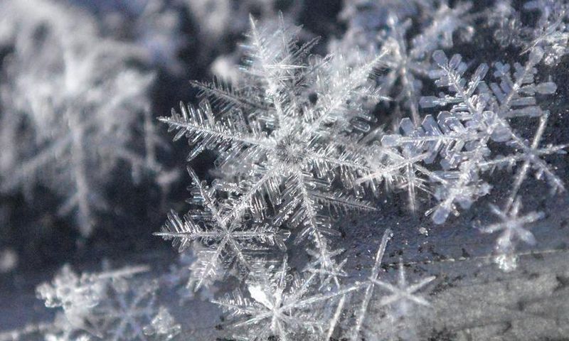 Watch Dr. P Extract A Snowflake Of A Pilar Cyst