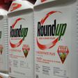 A jury in 2018 found that Monsanto's herbicide Roundup substantially contributed to Dewayne "Lee" Johnson's contractng of terminal non-Hodgkin's lymphoma