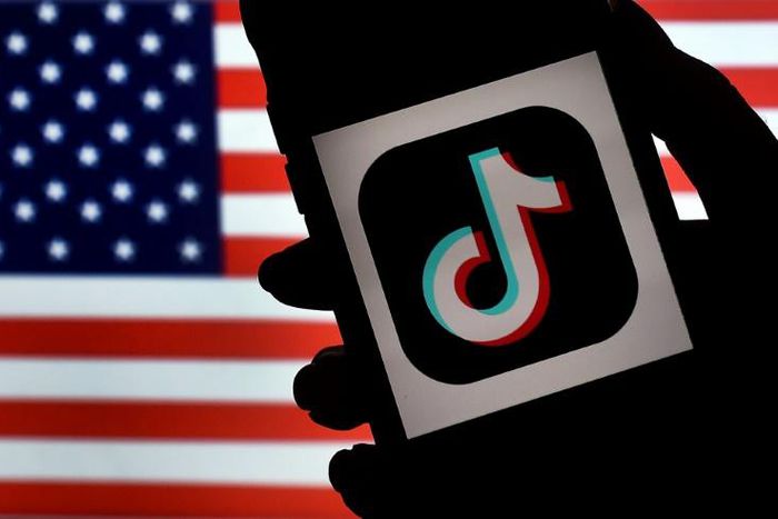 US TikTok stars are urging President Donald Trump not to ban the video sharing app, with some citing First Amendment protections of free speech