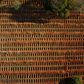 The Vila Formosa cemetery is one of the largest in Sau Paulo and many fresh graves are being dug as the coronavirus continues to wreck havoc in Brazil with the death toll surpassing 80,000 on Monday.