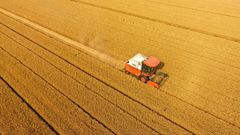 Officials have repeatedly said 'all-is-well' and promise a bumper 2020 grain crop there are growing concerns about a food shortfall