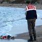 This image of Alan Kurdi became a tragic symbol of the 2015 refugee crisis