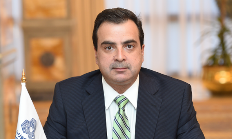 Arab Petroleum Investments Corporation (APICORP)