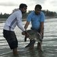 A rescued turtle is released back into the sea at Cox's Bazar. At least 20 were killed and dozens trapped in tonnes of plastic waste washed ashore