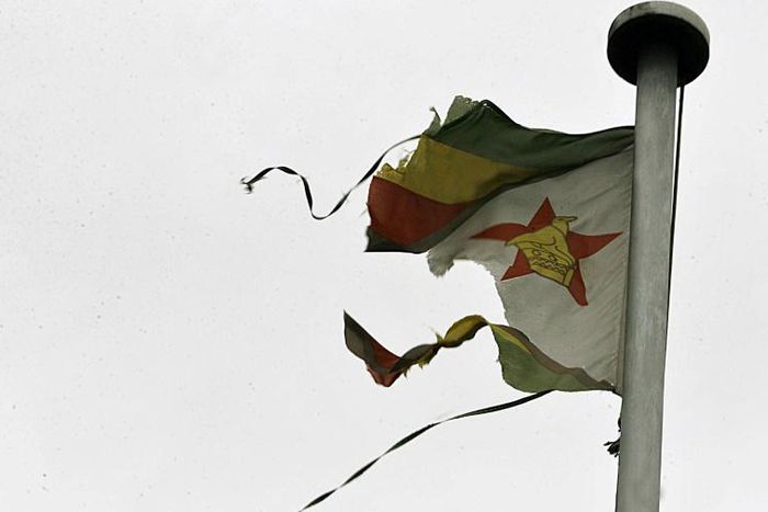 Zimbabwean activists have lost hope that the end of Robert Mugabe's long rule would bring great changes for the country