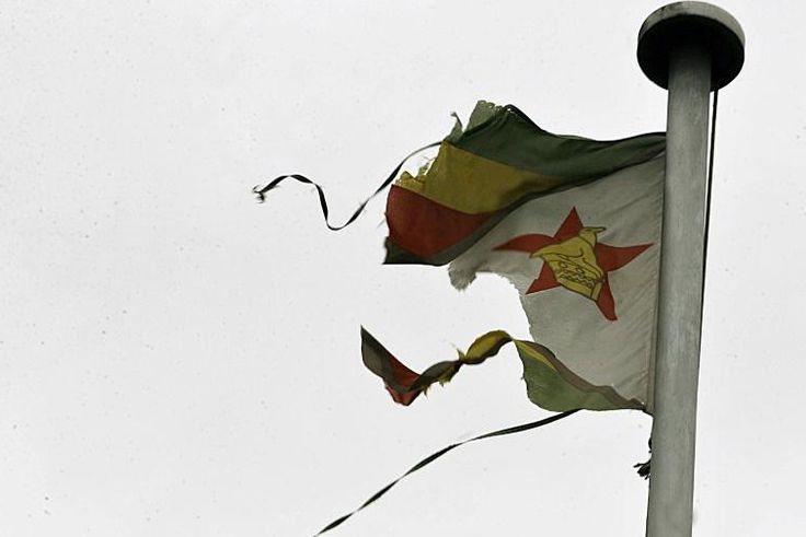 Zimbabwean activists have lost hope that the end of Robert Mugabe's long rule would bring great changes for the country