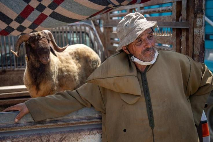 Moroccan farmers sell their livestock ahead of the Muslim festival of sacrifice Eid al-Adha at markets around the kingdom