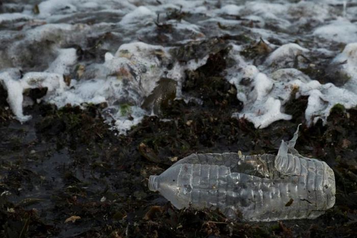 Earth's oceans contain an estimated 150 million tonnes of plastic, often in the form of microplastic particles