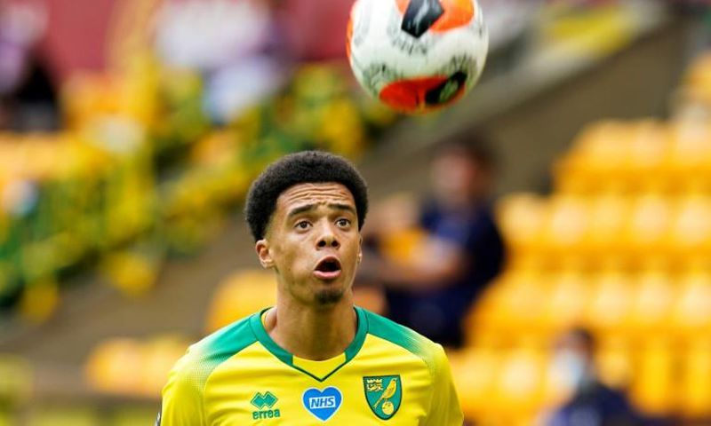 Jamal's a Geordie: Jamal Lewis joined Newcastle from Norwich on Tuesday