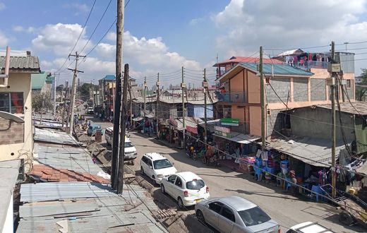 A photo taken  with the Realme C11 phone.