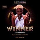Full List of winners of the 2020 AEAUSA Awards