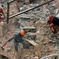 Rescue workers dig through the rubble of a badly damaged building in Lebanon's capital Beirut in search of a possible survivor from a mega-blast at the adjacent port one month ago, after scanners detected a pulse, on September 4, 2020