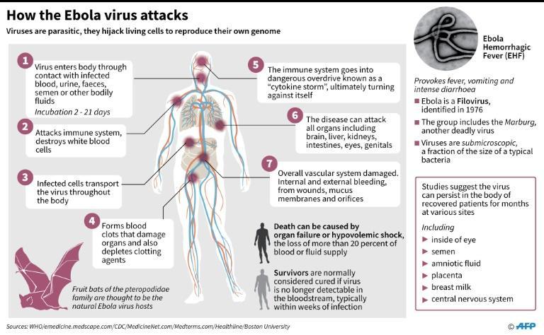 Ebola