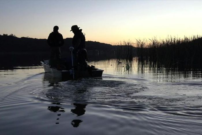 The common carp, an invasive fish species in South Africa, has turned into an unlikely food source for needy coastal communities hit by coronavirus restrictions