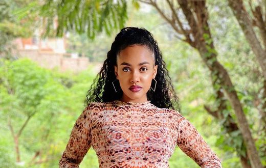 Tanasha Donna responds to claims of using Diamond for fame