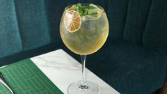 Recipe with a Pulse Live Twist: White wine and gin Cocktail the Pulse way