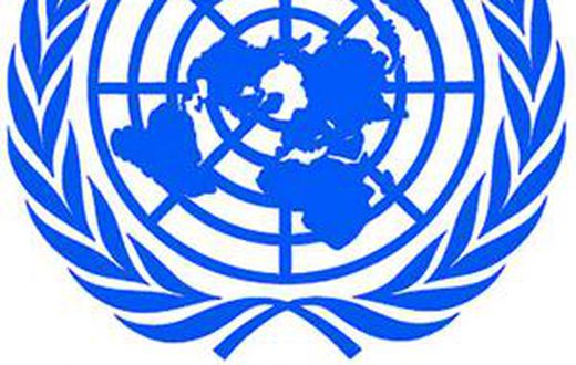 United Nations (UN)